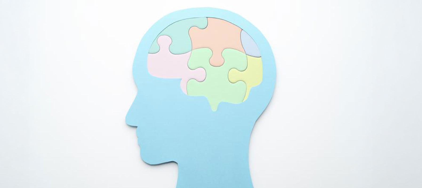 May contain a light-blue colored head silhouette with a multicolored brain puzzle inside.