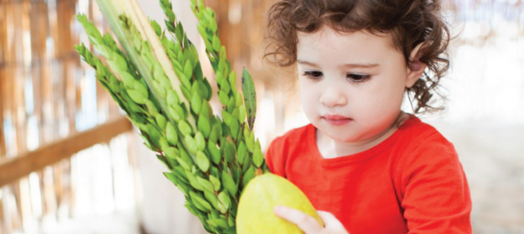 May contain a person holding green leaves and a yellow fruit.