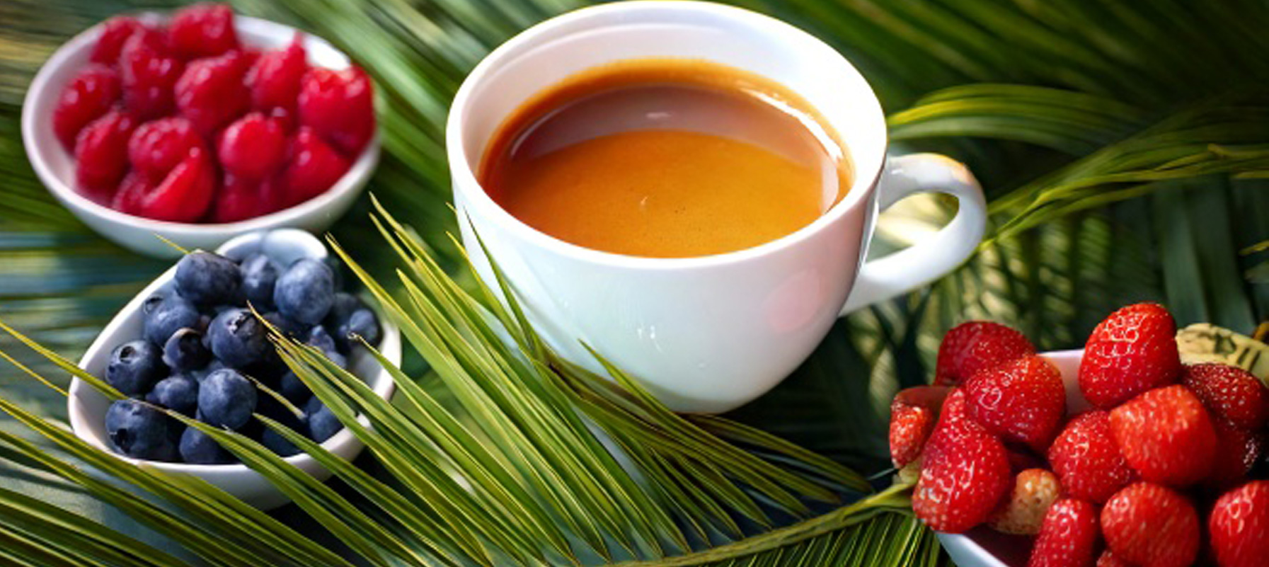 May contain coffee, raspberries, blueberries, strawberries, and palm fronds.